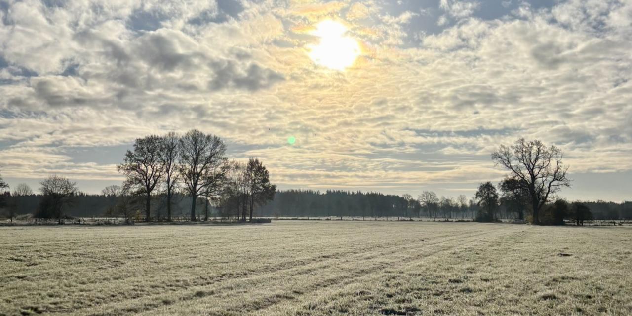 Sonnige Winterwiese im Heidekreis